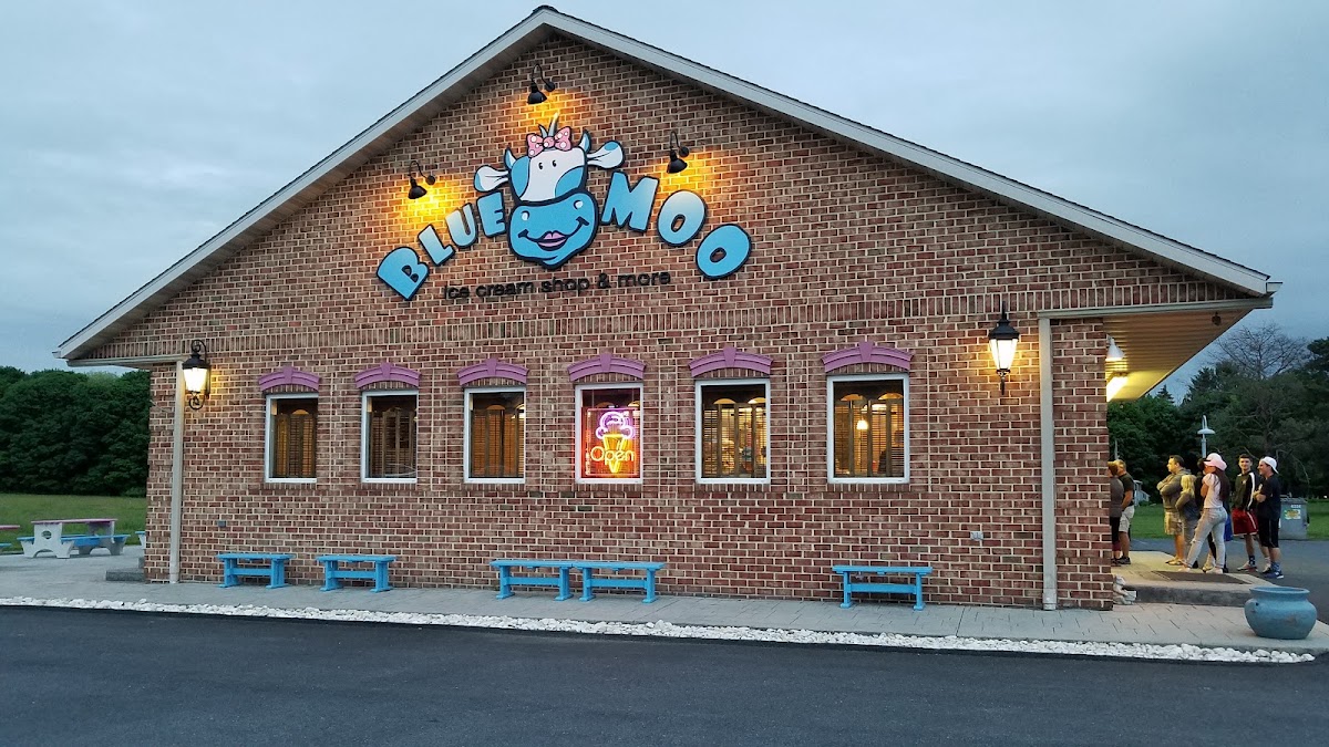 Blue Moo Ice Cream Shop